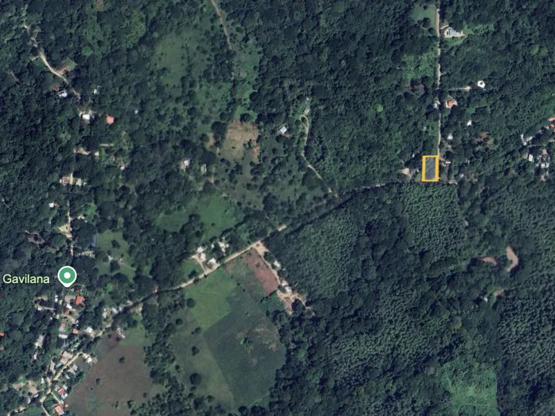 Land For Sale in Nosara, photo 4