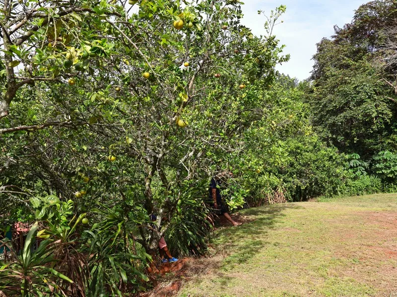 Land For Sale in Playa Coyote, photo 13