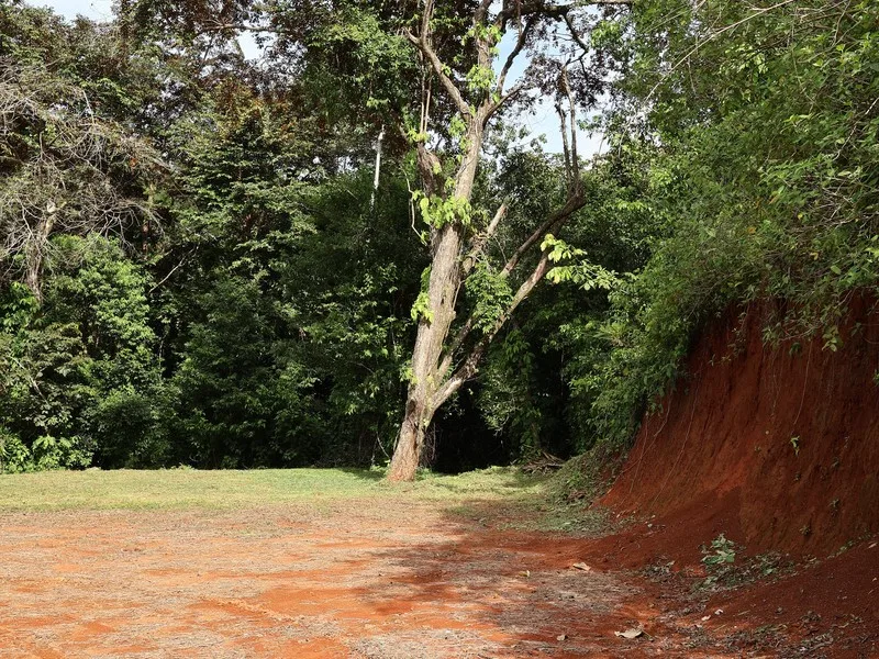 Land For Sale in Playa Coyote, photo 4