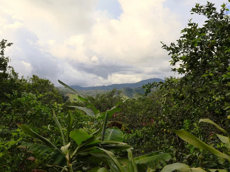 Land For Sale in Playa Coyote, photo 5