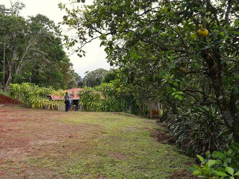 Land For Sale in Playa Coyote, photo 6