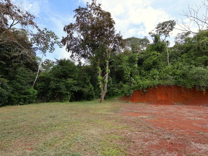 Land For Sale in Playa Coyote, photo 8