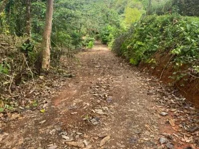 Increíble lote residencial de 2.32 hectáreas/5.75 acres en Ojochal, Calle Quetzal., photo 2