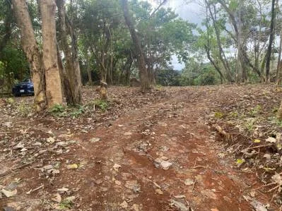 Increíble lote residencial de 2.32 hectáreas/5.75 acres en Ojochal, Calle Quetzal., photo 3