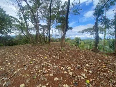 Increíble lote residencial de 2.32 hectáreas/5.75 acres en Ojochal, Calle Quetzal., photo 4