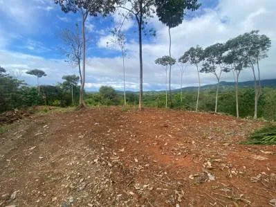 Increíble lote residencial de 2.32 hectáreas/5.75 acres en Ojochal, Calle Quetzal., photo 5