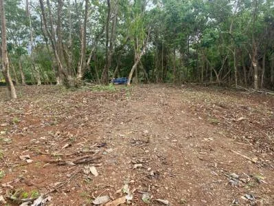 Increíble lote residencial de 2.32 hectáreas/5.75 acres en Ojochal, Calle Quetzal., photo 6