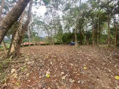 Increíble lote residencial de 2.32 hectáreas/5.75 acres en Ojochal, Calle Quetzal., photo 8