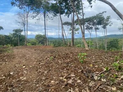 Increíble lote residencial de 2.32 hectáreas/5.75 acres en Ojochal, Calle Quetzal., photo 9