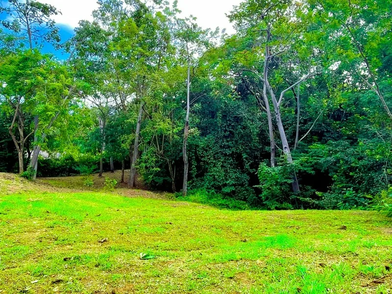Land For Sale in Playa Grande