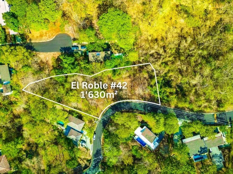 Land For Sale in Playa Grande, photo 3