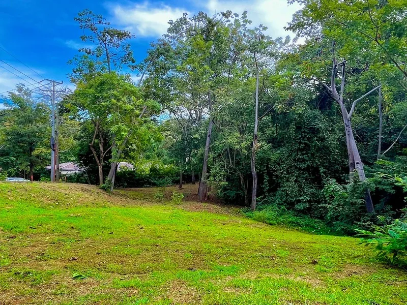 Land For Sale in Playa Grande, photo 4