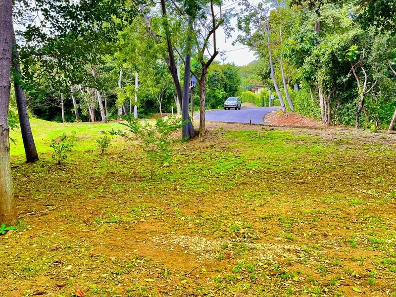 Land For Sale in Playa Grande, photo 5