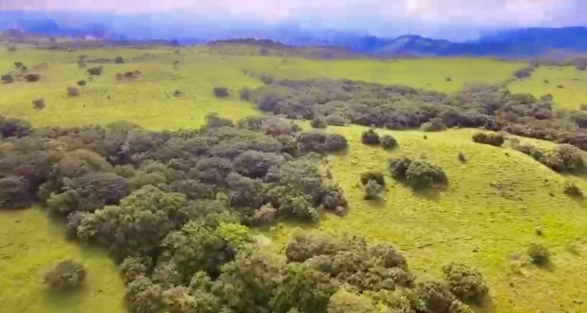 78 Hectares in Tilaran Guanacaste - Renewable Energy &amp; Carbon Credit Potential with Agricultural and Ecotourism Upside, photo 11