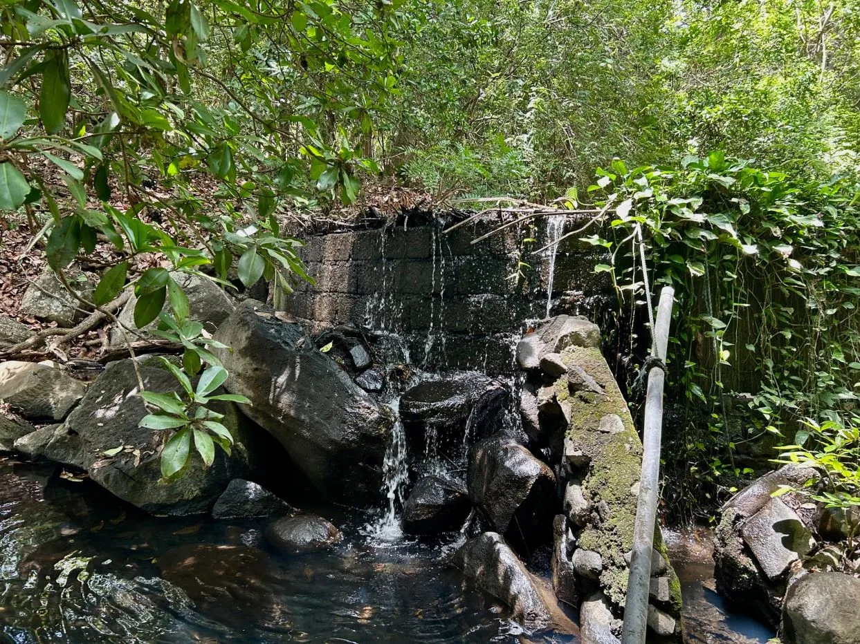 78 Hectares in Tilaran Guanacaste - Renewable Energy &amp; Carbon Credit Potential with Agricultural and Ecotourism Upside, photo 12