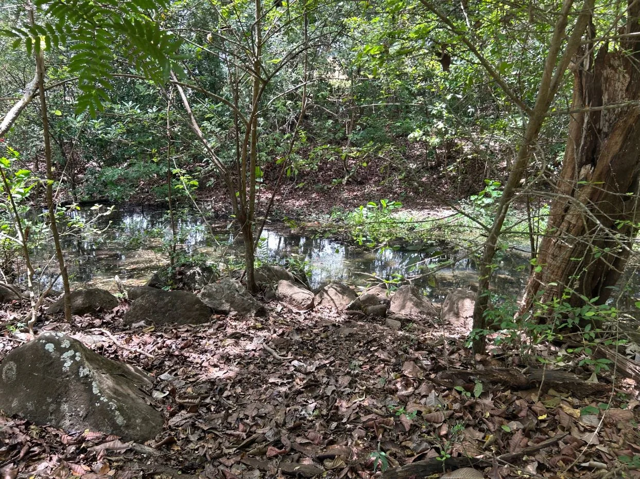 78 Hectares in Tilaran Guanacaste - Renewable Energy &amp; Carbon Credit Potential with Agricultural and Ecotourism Upside, photo 13