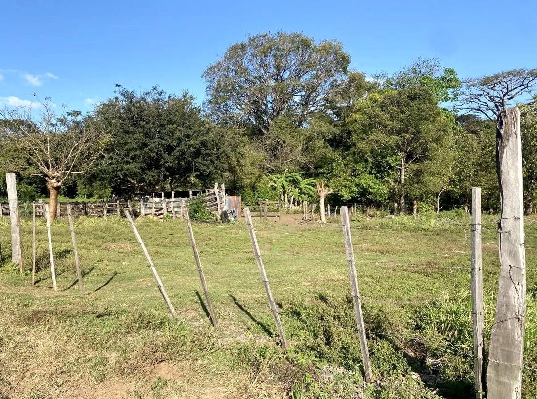 78 Hectares in Tilaran Guanacaste - Renewable Energy &amp; Carbon Credit Potential with Agricultural and Ecotourism Upside, photo 14