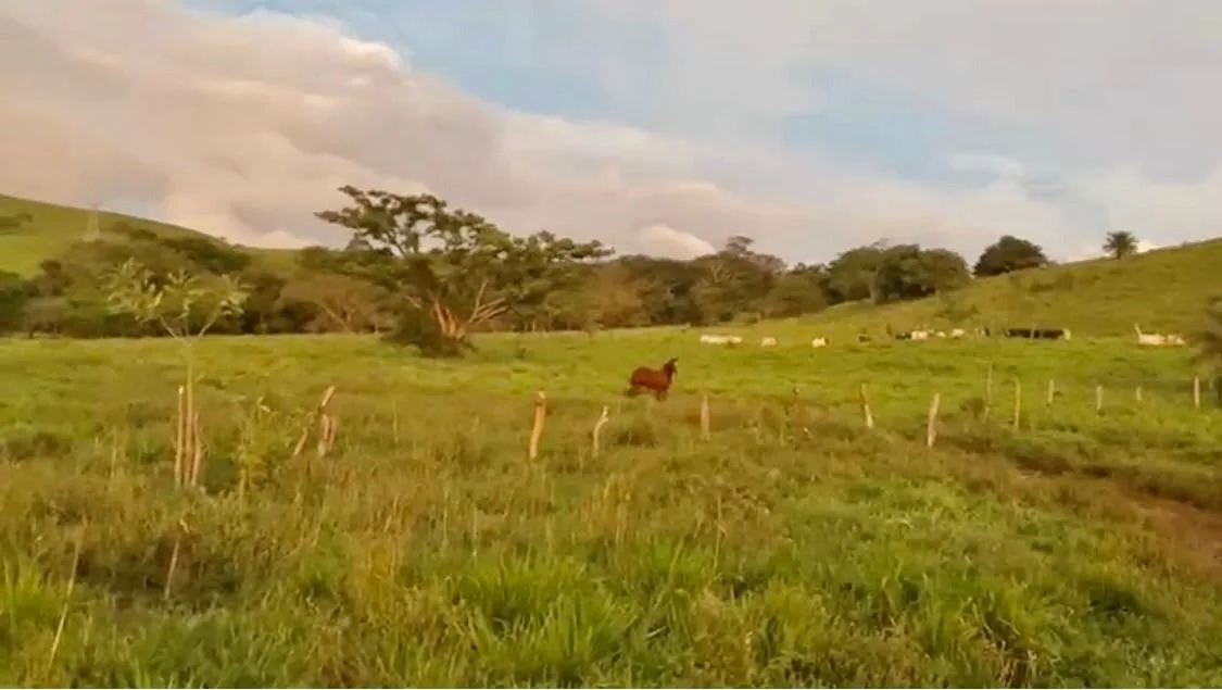 78 Hectares in Tilaran Guanacaste - Renewable Energy &amp; Carbon Credit Potential with Agricultural and Ecotourism Upside, photo 3