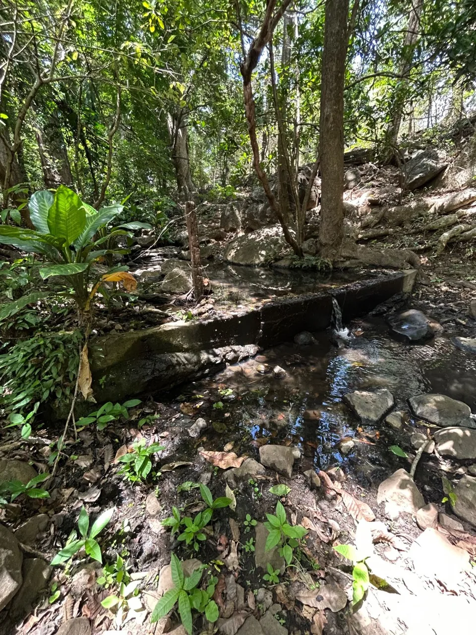 78 Hectares in Tilaran Guanacaste - Renewable Energy &amp; Carbon Credit Potential with Agricultural and Ecotourism Upside, photo 4