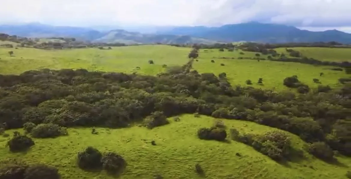 78 Hectares in Tilaran Guanacaste - Renewable Energy &amp; Carbon Credit Potential with Agricultural and Ecotourism Upside, photo 5