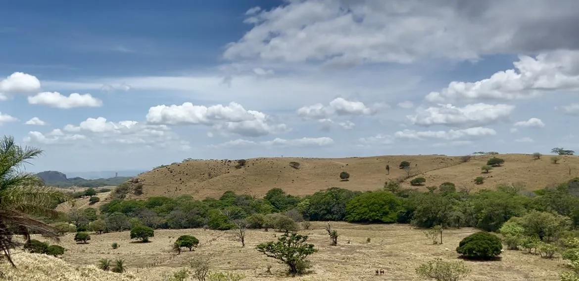 78 Hectares in Tilaran Guanacaste - Renewable Energy &amp; Carbon Credit Potential with Agricultural and Ecotourism Upside, photo 6