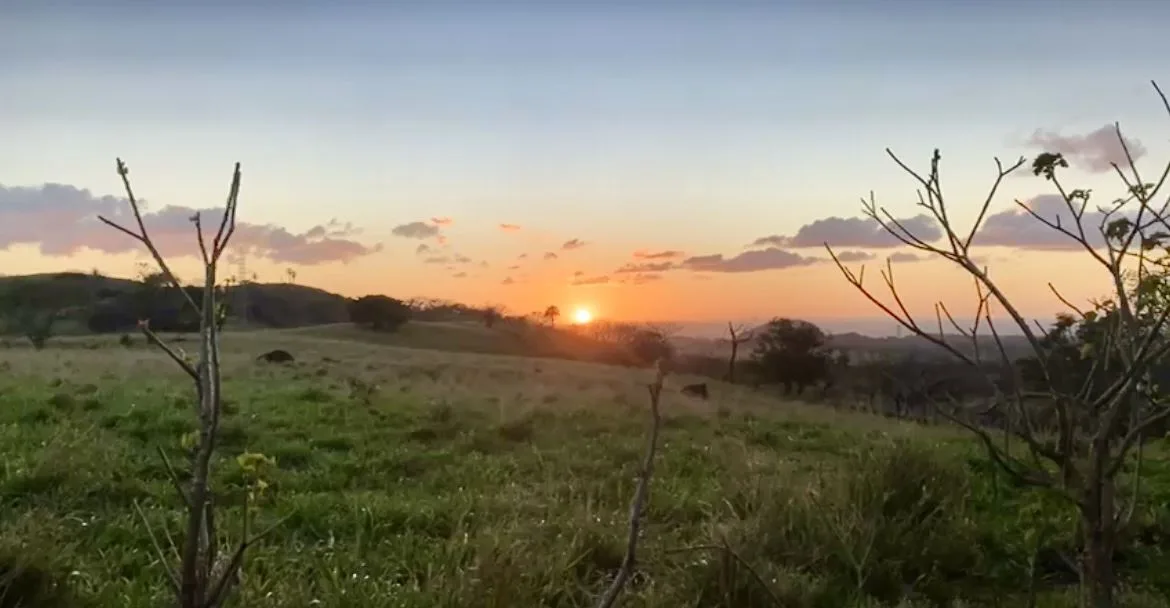 78 Hectares in Tilaran Guanacaste - Renewable Energy &amp; Carbon Credit Potential with Agricultural and Ecotourism Upside, photo 7
