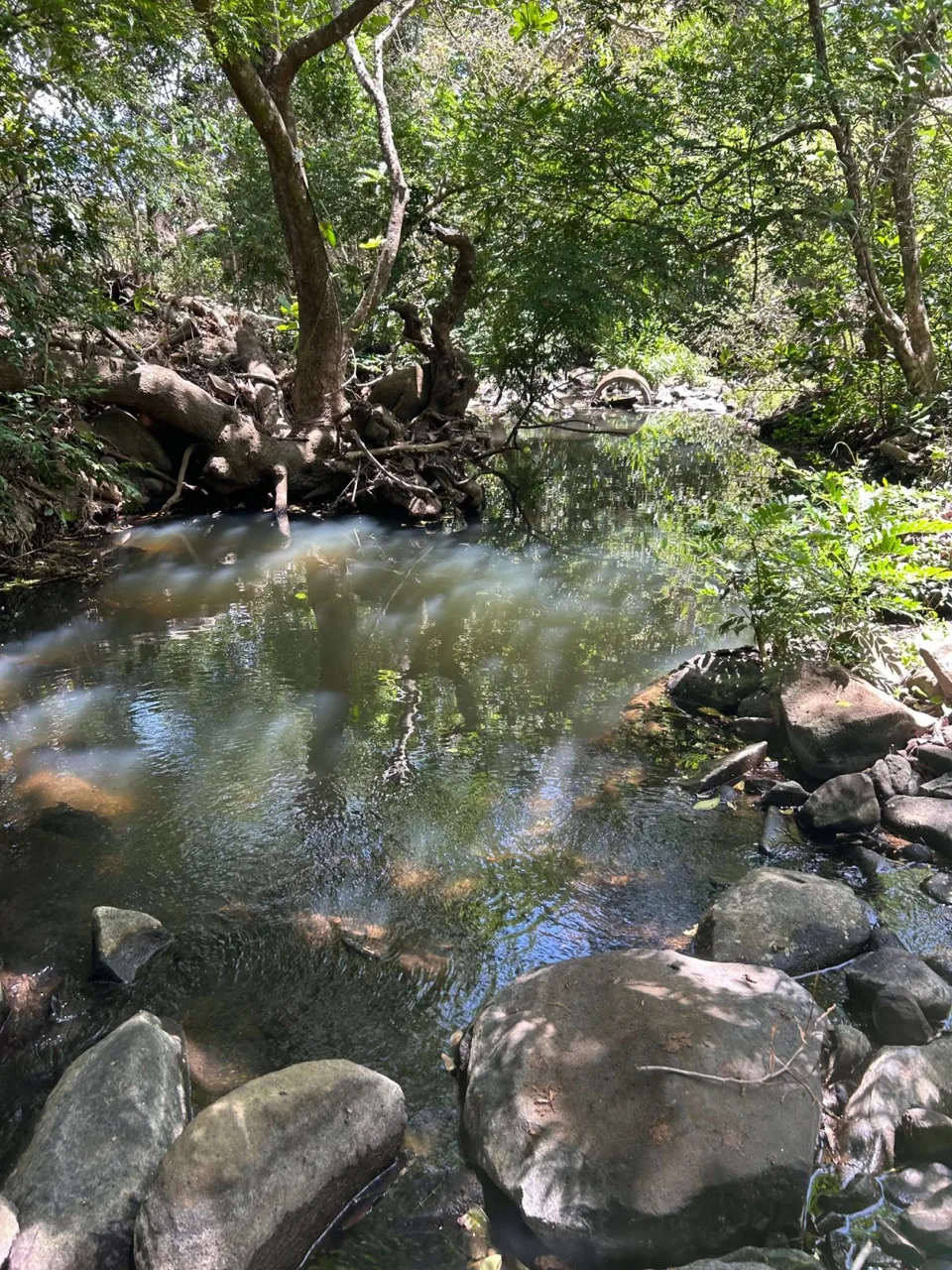 78 Hectares in Tilaran Guanacaste - Renewable Energy &amp; Carbon Credit Potential with Agricultural and Ecotourism Upside, photo 8