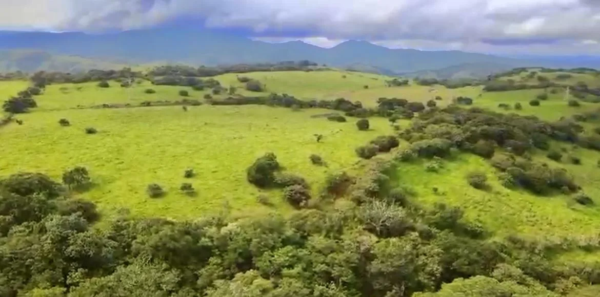 78 Hectares in Tilaran Guanacaste - Renewable Energy &amp; Carbon Credit Potential with Agricultural and Ecotourism Upside, photo 10