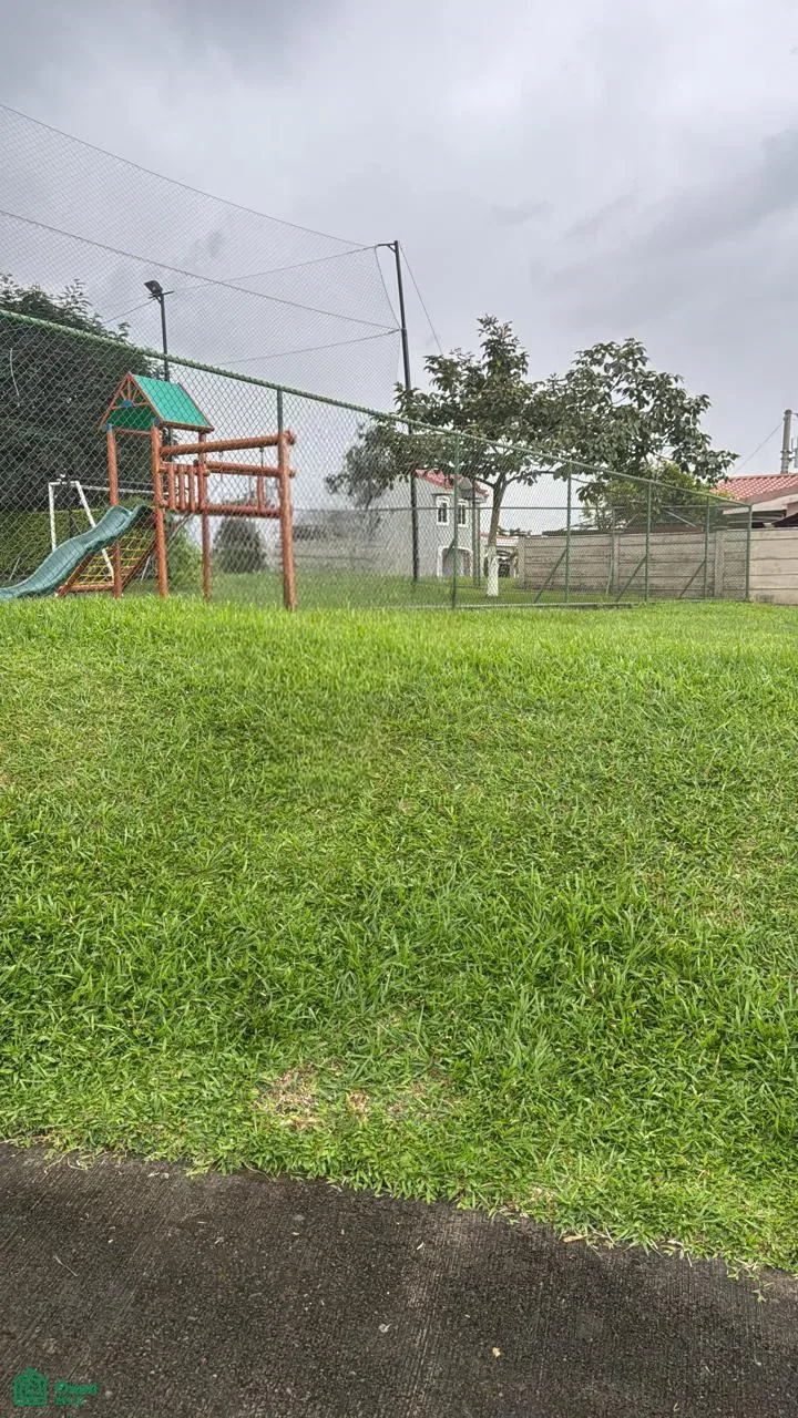 Poro, Grecia, Alajuela 20530