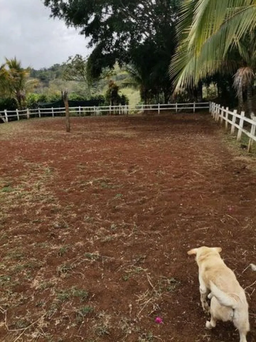 Venta de Casa en Puriscal, San José.  - Venta en Puriscal, photo 2