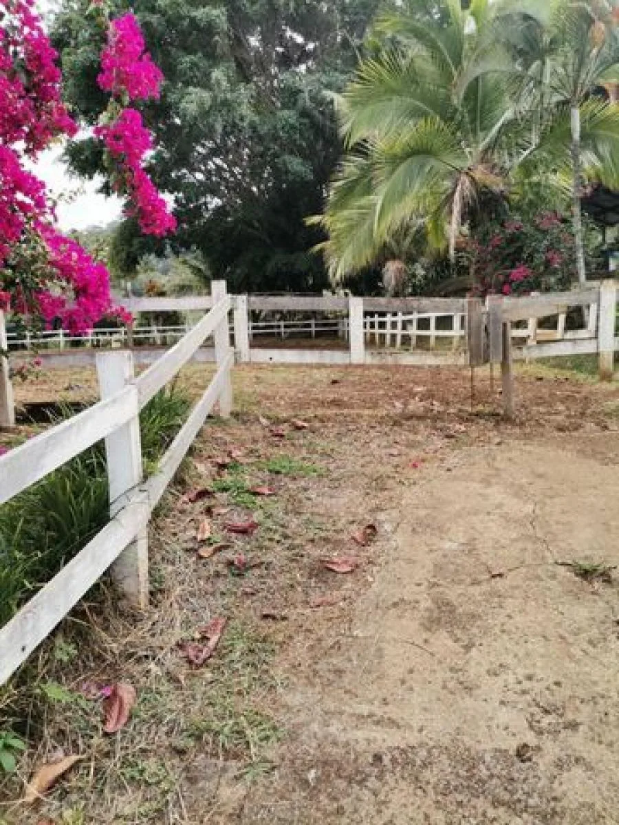 Venta de Casa en Puriscal, San José.  - Venta en Puriscal, photo 11