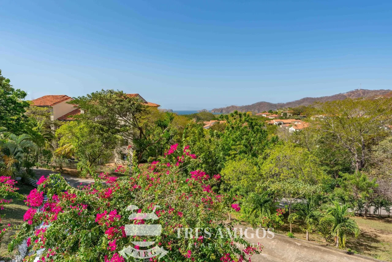 LA FINCA BLANCA, photo 28