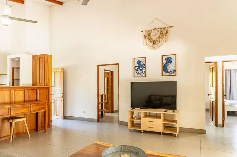 House in Playa Samara, photo 15