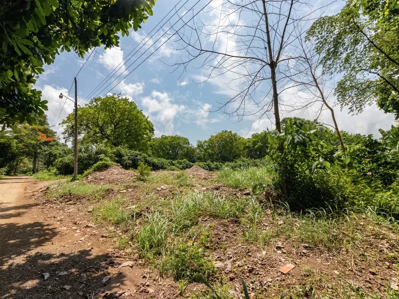 Land For Sale in Nosara, photo 7