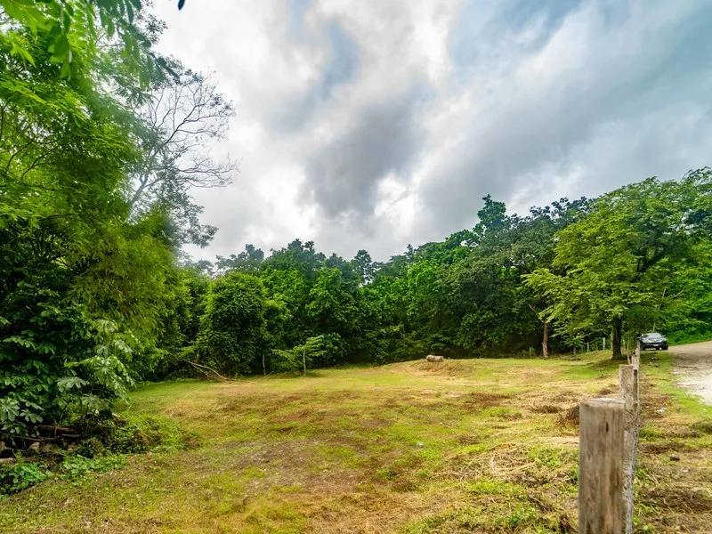 Land For Sale in Samara, photo 6