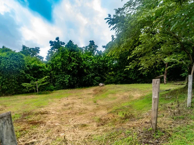 Land For Sale in Samara, photo 8
