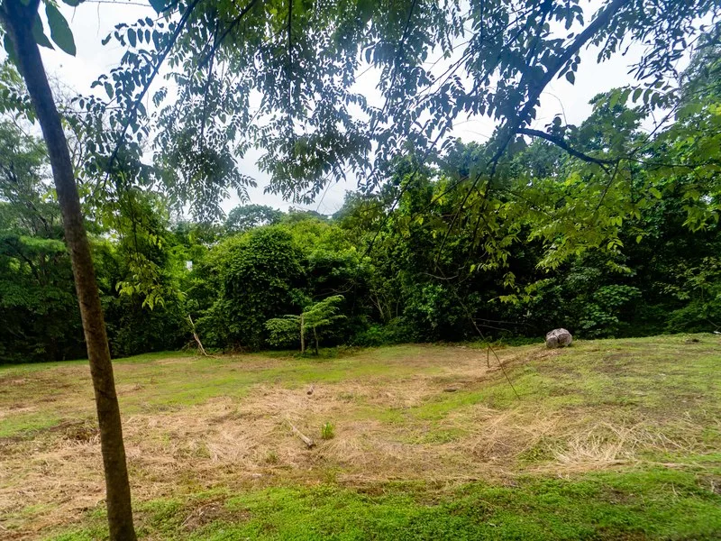 Land For Sale in Samara, photo 9