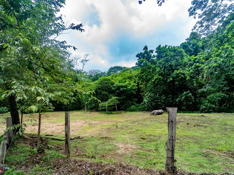 Land For Sale in Samara, photo 10
