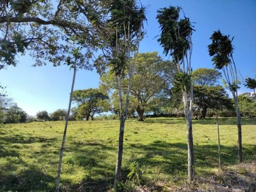 MLS-26-1063 LS VENTA LOTE SAN RAFAEL HEREDIA - Venta en San Rafael, photo 2