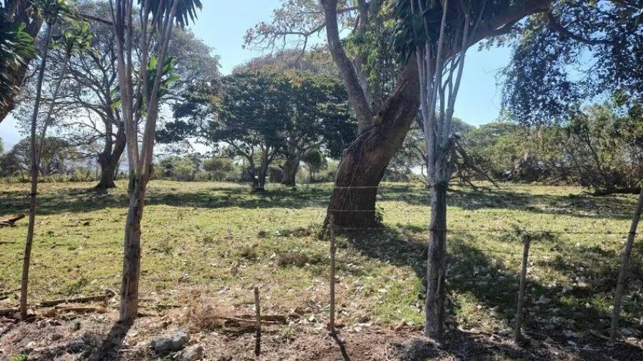 MLS-26-1063 LS VENTA LOTE SAN RAFAEL HEREDIA - Venta en San Rafael, photo 7