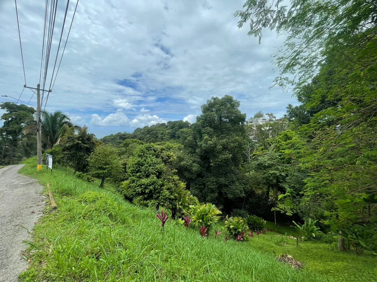 Lot for Sale(#5), located in Manuel Antonio – Biezans Road