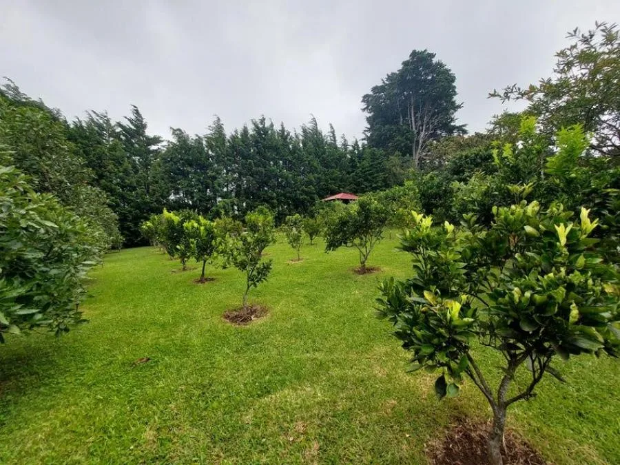 Venta de Finca en San Rafael, Heredia. RAH 24-237 - Venta en San Rafael, photo 13