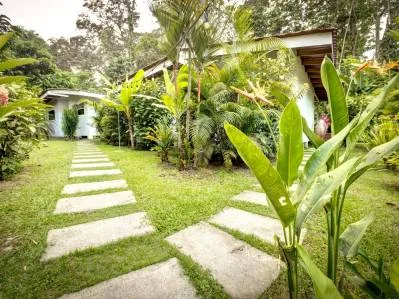 Hermosa Propiedad en Cocles, Costa Rica – Ideal para Jubilación y Generación de Ingresos, photo 4