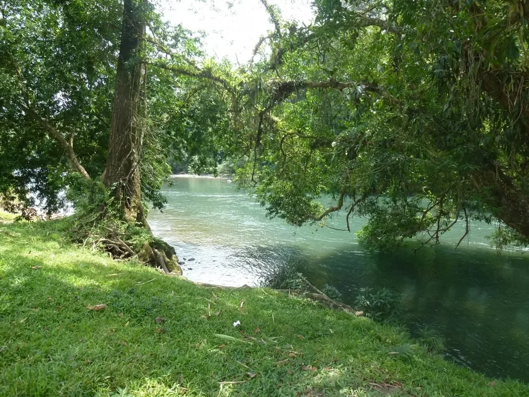 MA Asesoría vende Finca de más de una hectárea, con vista al Río Sarapiquí, en La Guaria de Puerto Viejo de Sarapiquí.