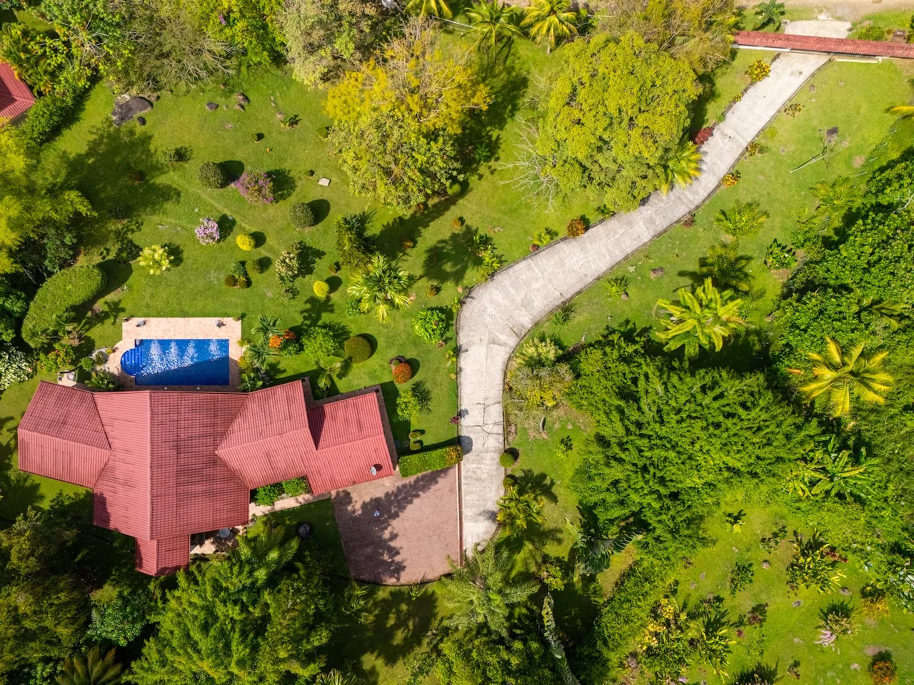 MOUNTAIN  PROPERTY WITH FOUR BEDROOMS, IN OJOCHAL – 1.83 ACRES, photo 3