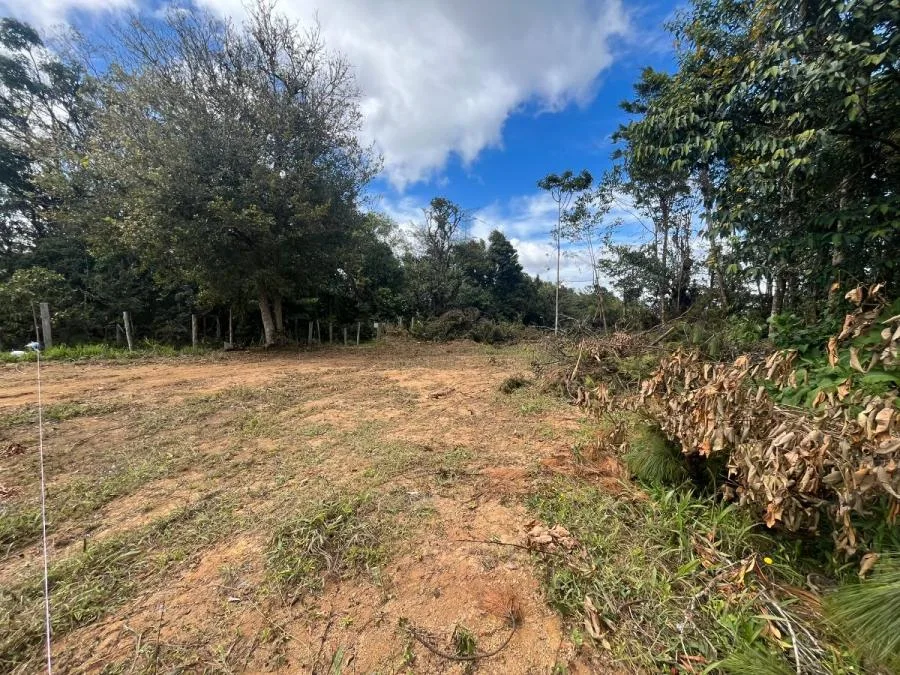 Venta de Lote en Goicoechea, San José. RAH 24-1494 - Venta en Goicoechea, photo 11