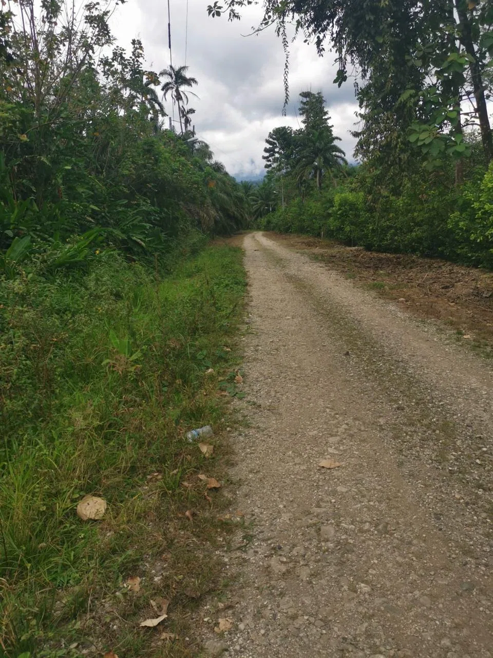 Oportunidad Única cerca de Golfito / Terreno con salida a Río Coto