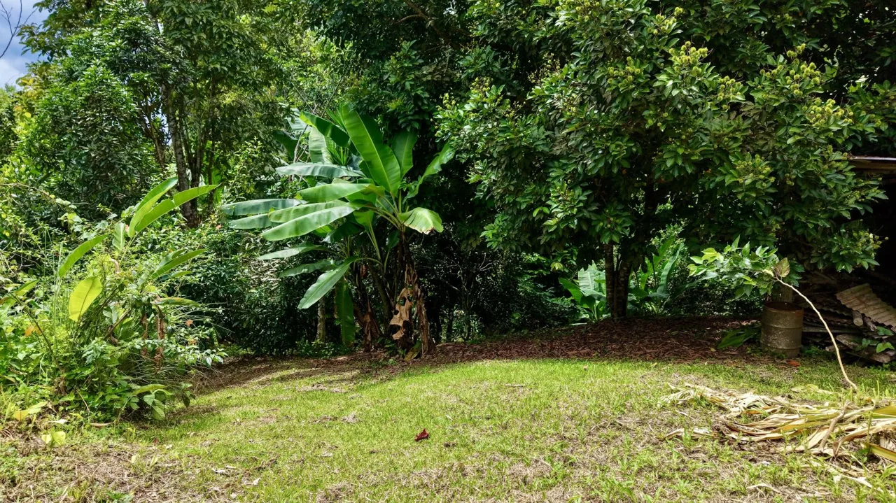 Organic Farm with Home for sale with Talamanca Views in San Gabriel, Sustainable Retreat, photo 7