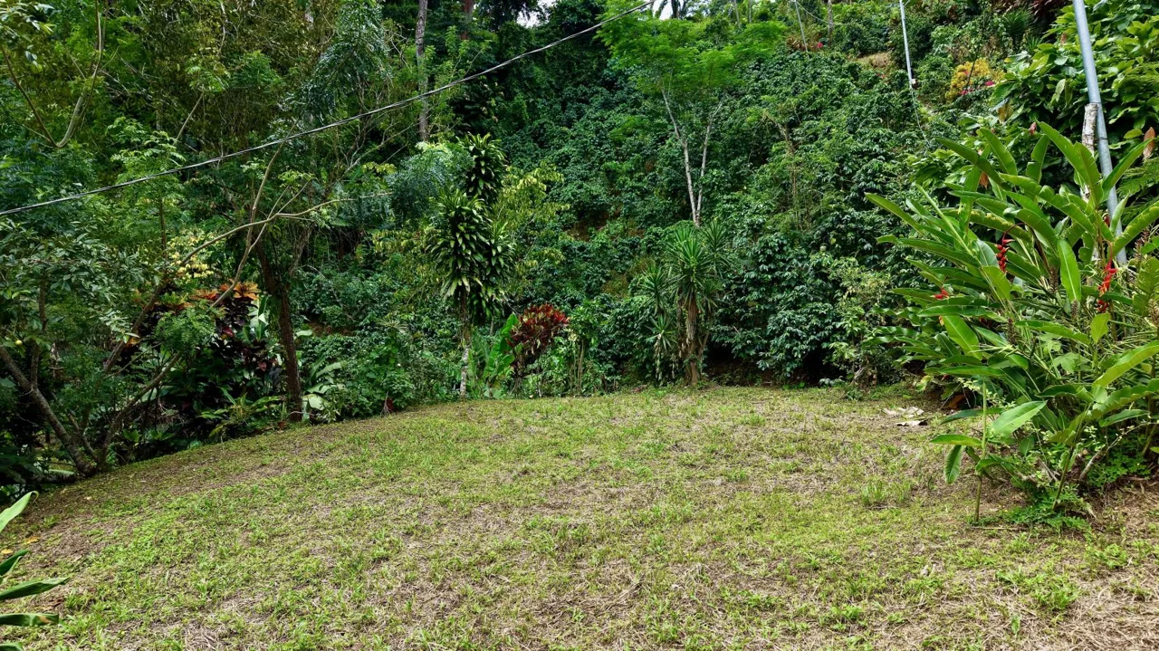 Organic Farm with Home for sale with Talamanca Views in San Gabriel, Sustainable Retreat, photo 8