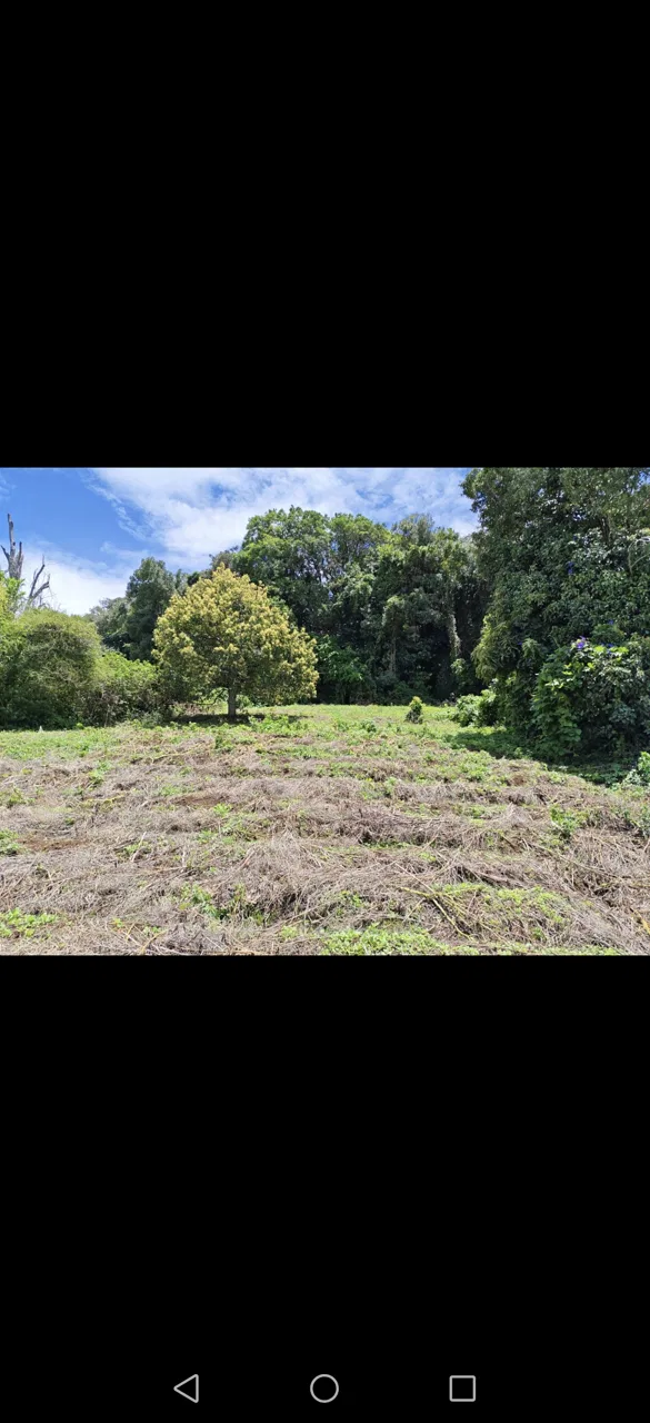 Se vende terreno en Zarcero Centro, por el parque. Precio negociable!!